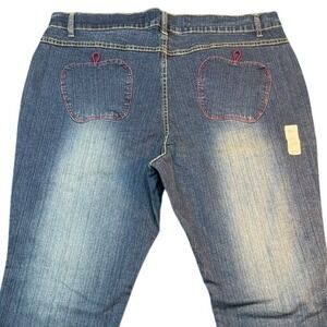 VTG Apple Bottoms Women Jeans Size 20W Distressed Bootcut Embroidered Red NWOT
